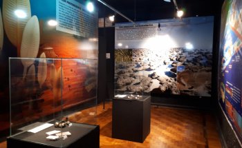 Museo de la Memoria y Patrimonio de la UNIFAL-MG