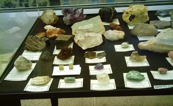 Museo de Paleontología