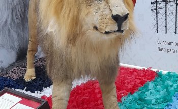 Muzar - Museo Zoobotánico Augusto Ruschi