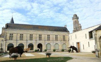 Museo de Prehistoria de Grand Pressigny