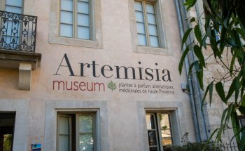 Museo Artemisia