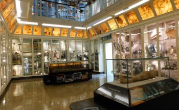 Museo y Galería de Arte de Warrington
