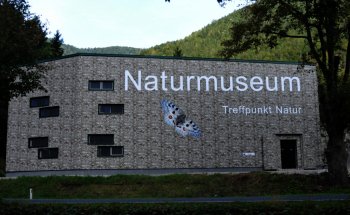 Museo de la Naturaleza Salzkammergut | Mundos Naturales