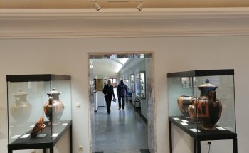Museo Martin von Wagner