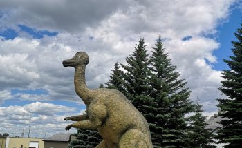 Museo Brooks y Distrito