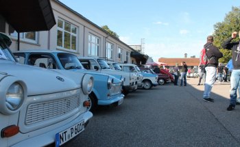 Museo Patina