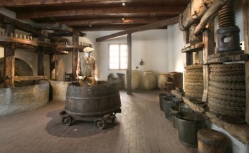 Museo dell’Olivo Carlo Carli