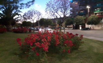 Museo Escultura Al Aire Libre