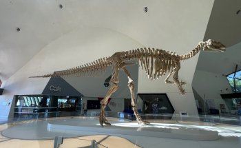 Museo Nacional Australiano de la Educación