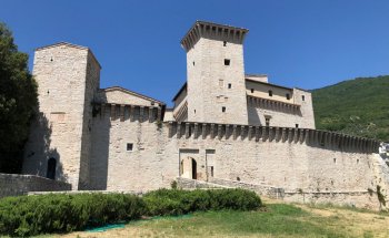 Rocca Flea