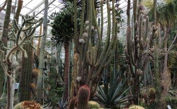 BIOTOPIA - Museo de Historia Natural de Baviera