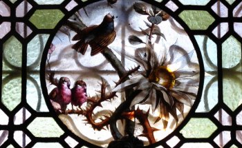 Museo André Voulgre