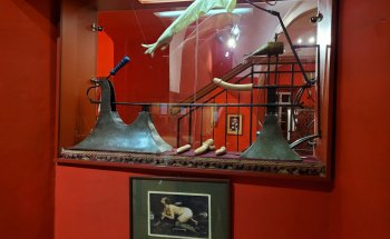 Museo de las Máquinas Sexuales
