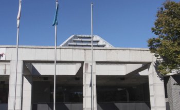 Museo e Instituto de Historia Natural, Chiba