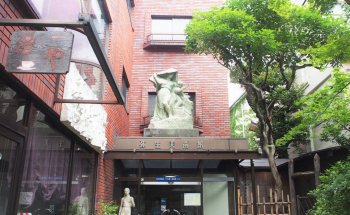 Museo Yayoi