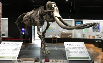 Museo de Historia de la Ciudad de Hamamatsu