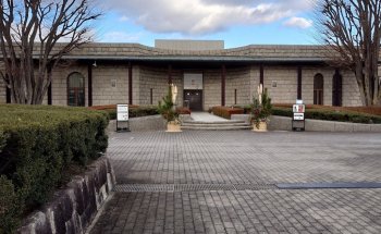 Museo de Arte Menard
