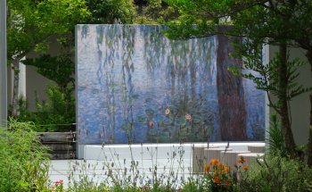 Nenúfares Claude Monet