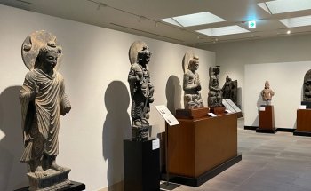 Museo Matsuoka