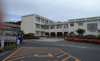 Museo de Historia Natural y Ambiental, Shizuoka