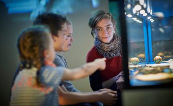 Museos de la Ciudad de Odense