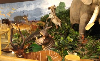 Museo de Sundre y el Distrito