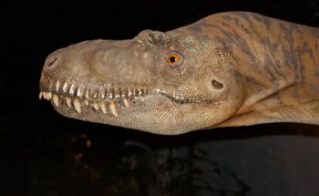 Estación de Campo del Museo Real Tyrrell