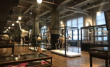 Intermediatheque