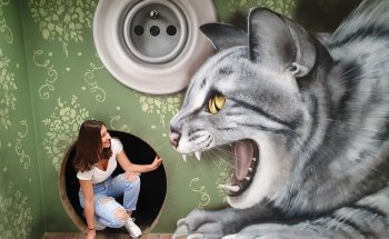 Museo de Ilusiones Fantásticas