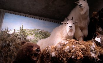 Museo y Archivos de Kitimat