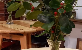 Museo Heimat de Groß-Enzersdorf