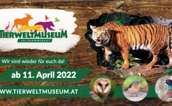 Museo de la Fauna de Salzkammergut