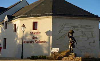 Museo Salt Marsh