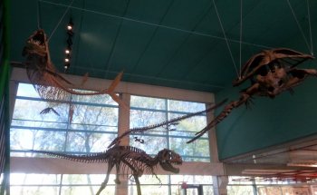 Museo de Mineralogía Robert B. Ferguson