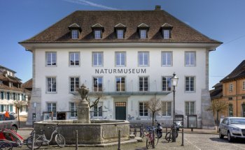 Museo de la Naturaleza