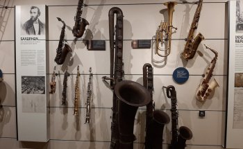 Colección Sonora