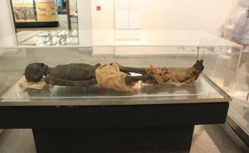 Museo Egizio