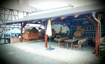 Museo Rheinau