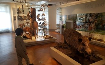 Museo de Historia Natural de Thurgau