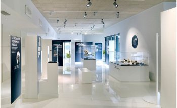 Museu do Aurignacense