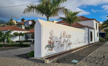 Museo del Puro Palmero