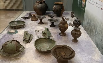 Museo Del Compito