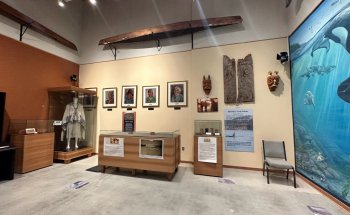 Museo Tems Swiya