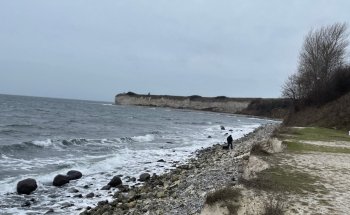 Experiencia Stevns Klint