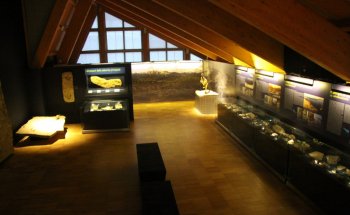 Museo Vittorino Cazzetta