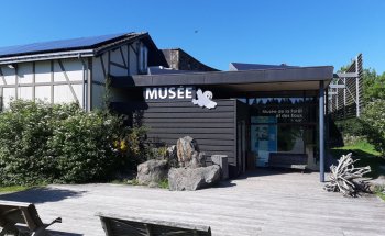 Museo del Bosque y las Aguas