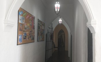 Museo de Sandro