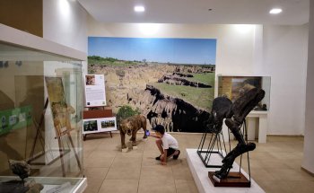 Museo Paleontológico Toropi