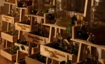 Museo del Vinagre