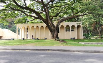 Museo De Arte Moderno La Tertulia
